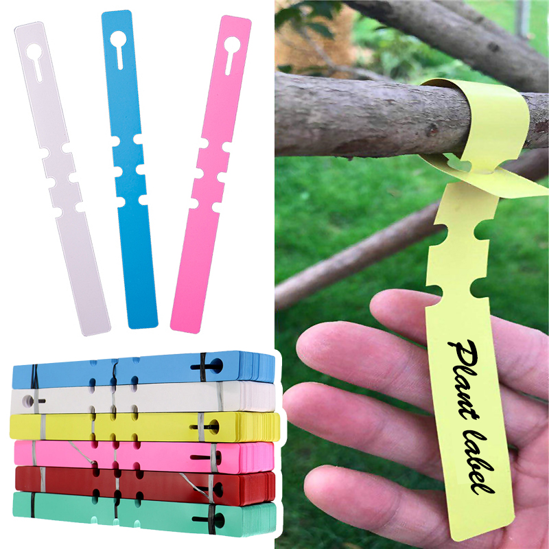 Gardening Tools Labeled - 50 Uds. Marcadores de plantas impermeables,