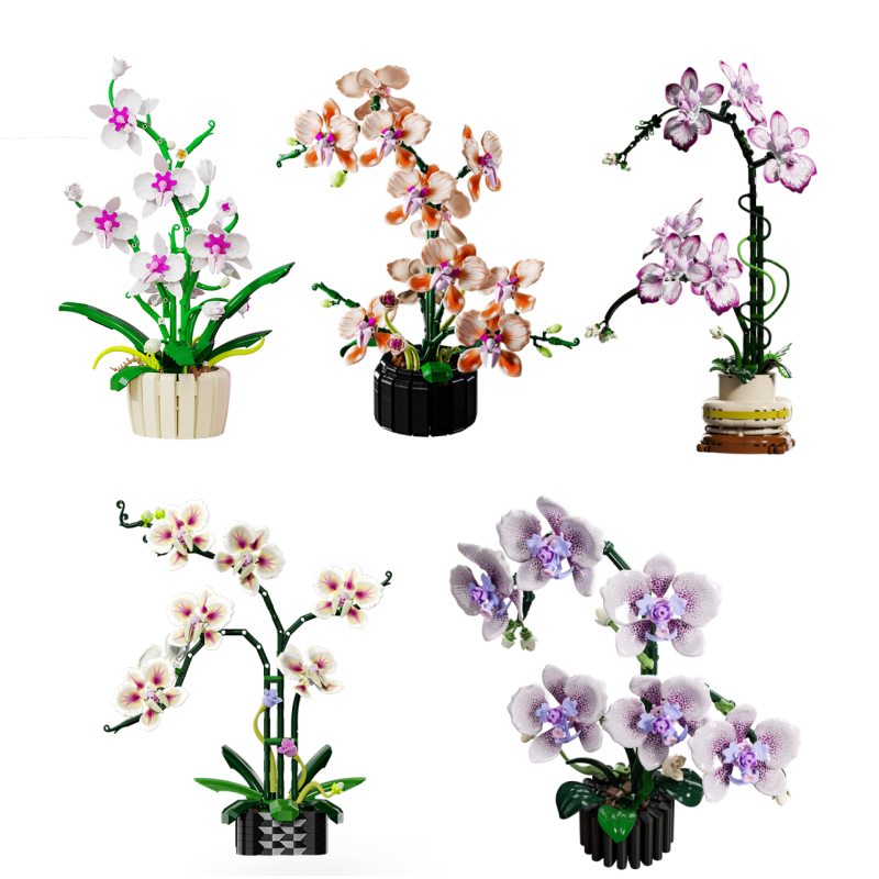 Orchid Potting Mix - Nuevo Set Creativo de Ramo de