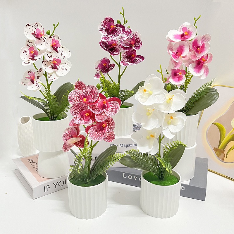 Orchid Potting Mix - Maceta Vertical con 5 Orquídeas Mariposa,