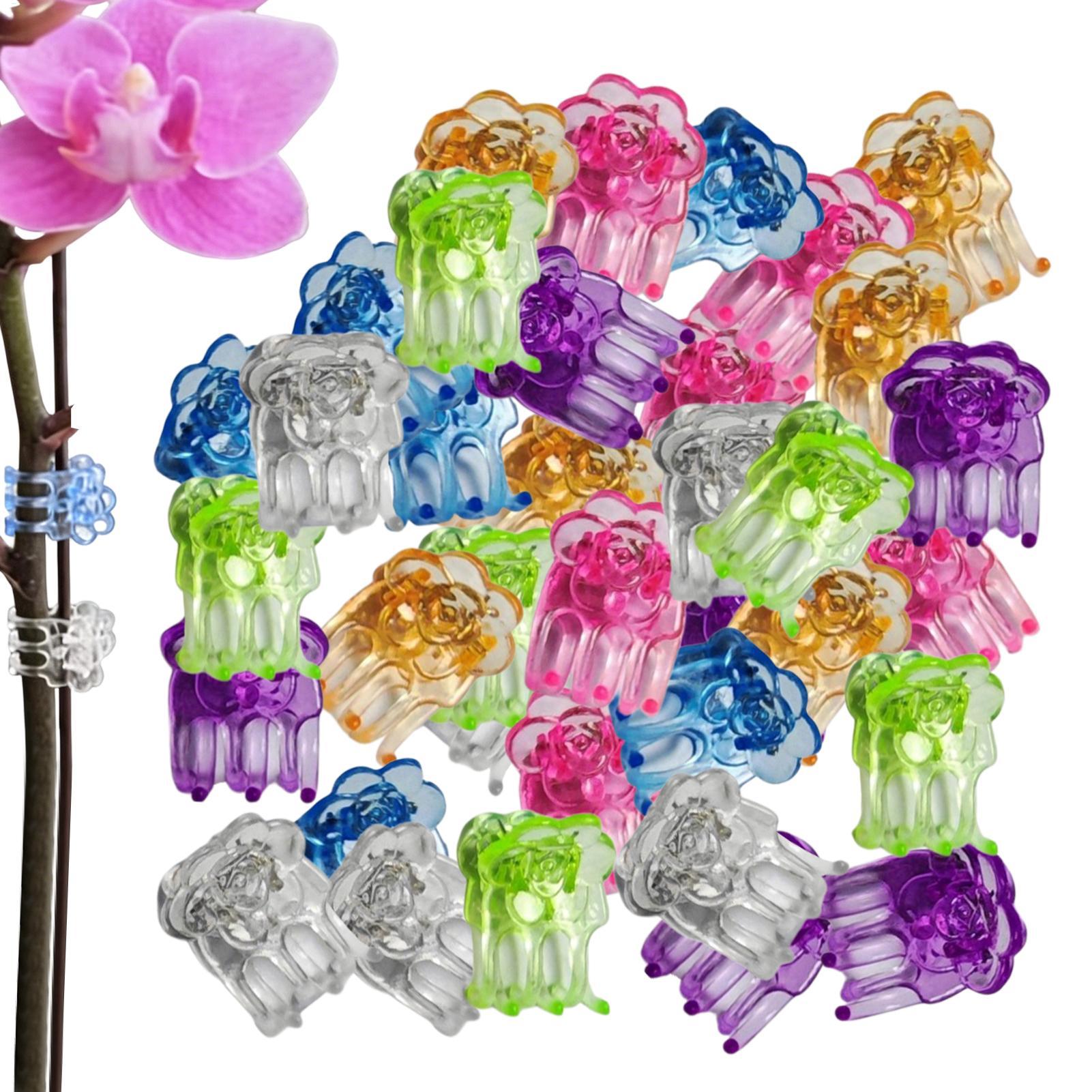 Orchid Potting Mix - Clips para Orquídeas, 60 Piezas, Abrazaderas