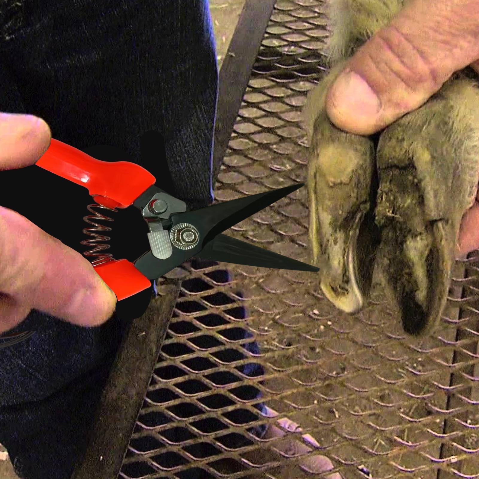 Garden Hand Trowel - Tijeras para recortar pezuñas de ovejas,