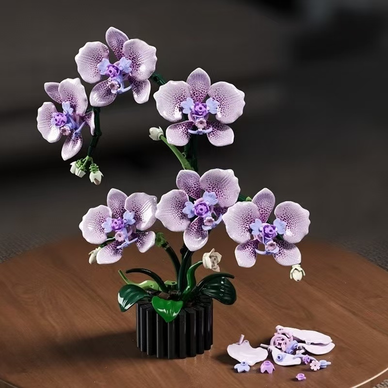 Orchid Potting Mix - Bloques de Construcción de Orquídeas Phalaenopsis,