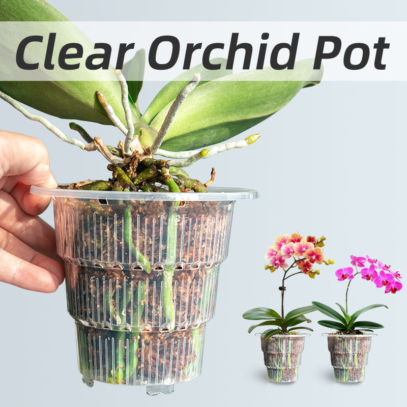 Orchid Potting Mix - Meshpot macetas de orquídeas de plástico