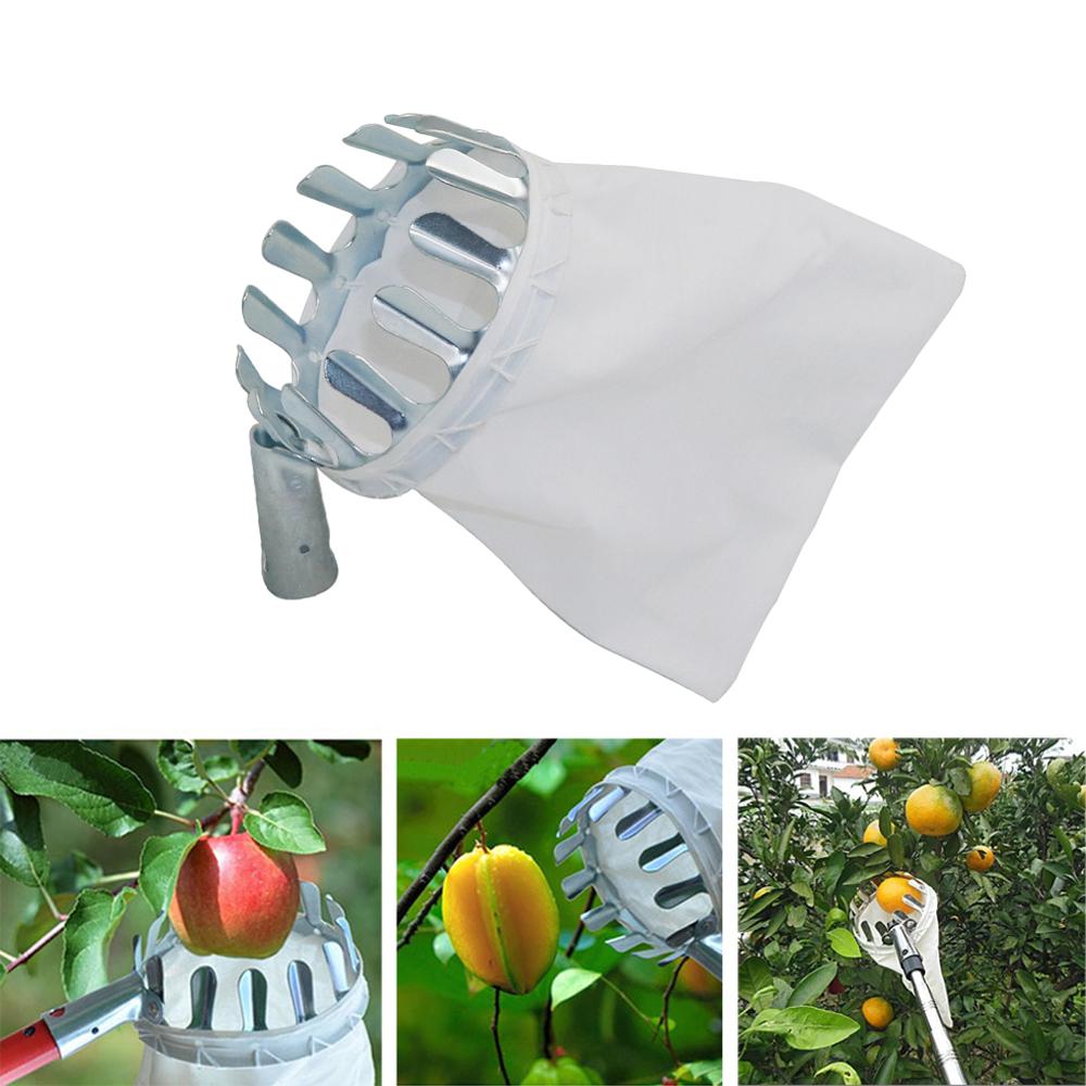 Gardening Tools Long - Recolector de frutas para poda de
