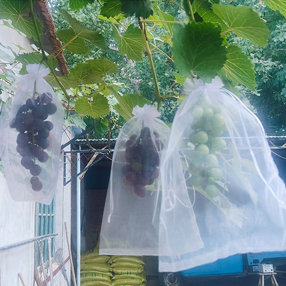 Grow Bags - 100 Bolsas de Malla Blancas Transpirables