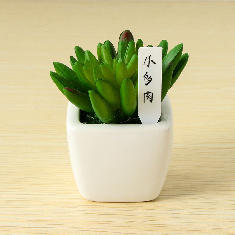 Mini Etiqueta de plástico para - Gardening Tools Labeled reseña y precio