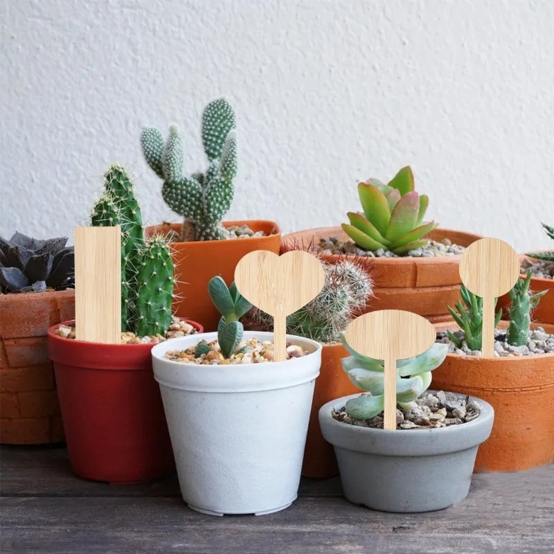 50 Etiquetas de Bambú para Pla - Gardening Tools Labeled reseña y precio