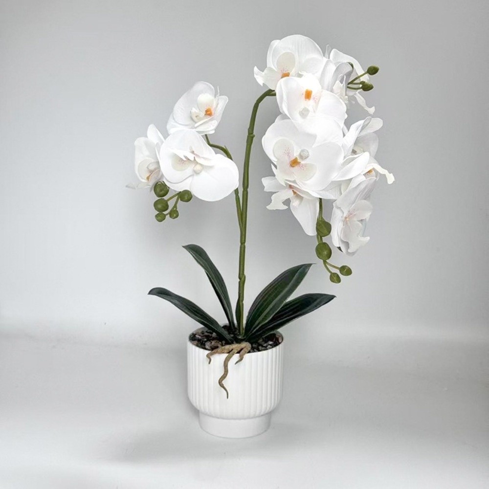 Orquídea Mariposa Artificial M - Orchid Potting Mix reseña y precio