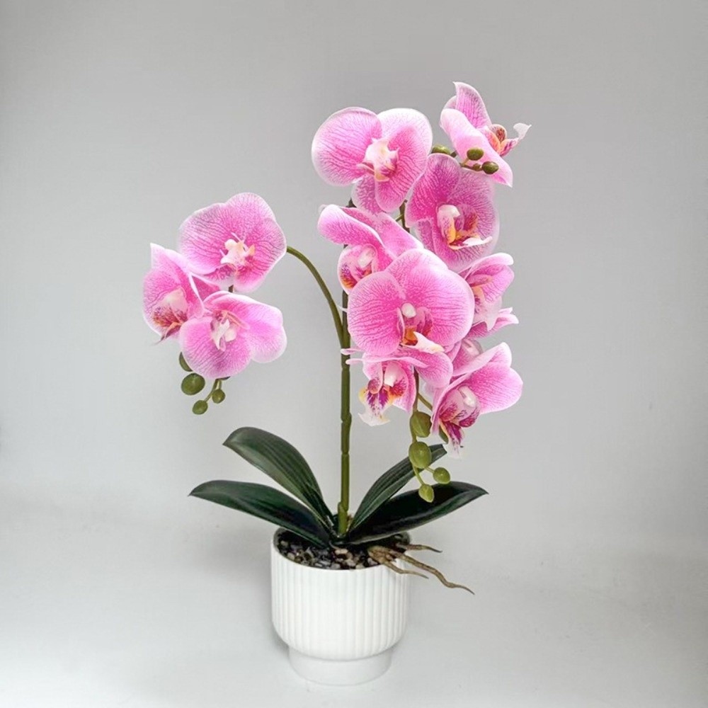 Orquídea Mariposa Artificial M - Orchid Potting Mix reseña y precio