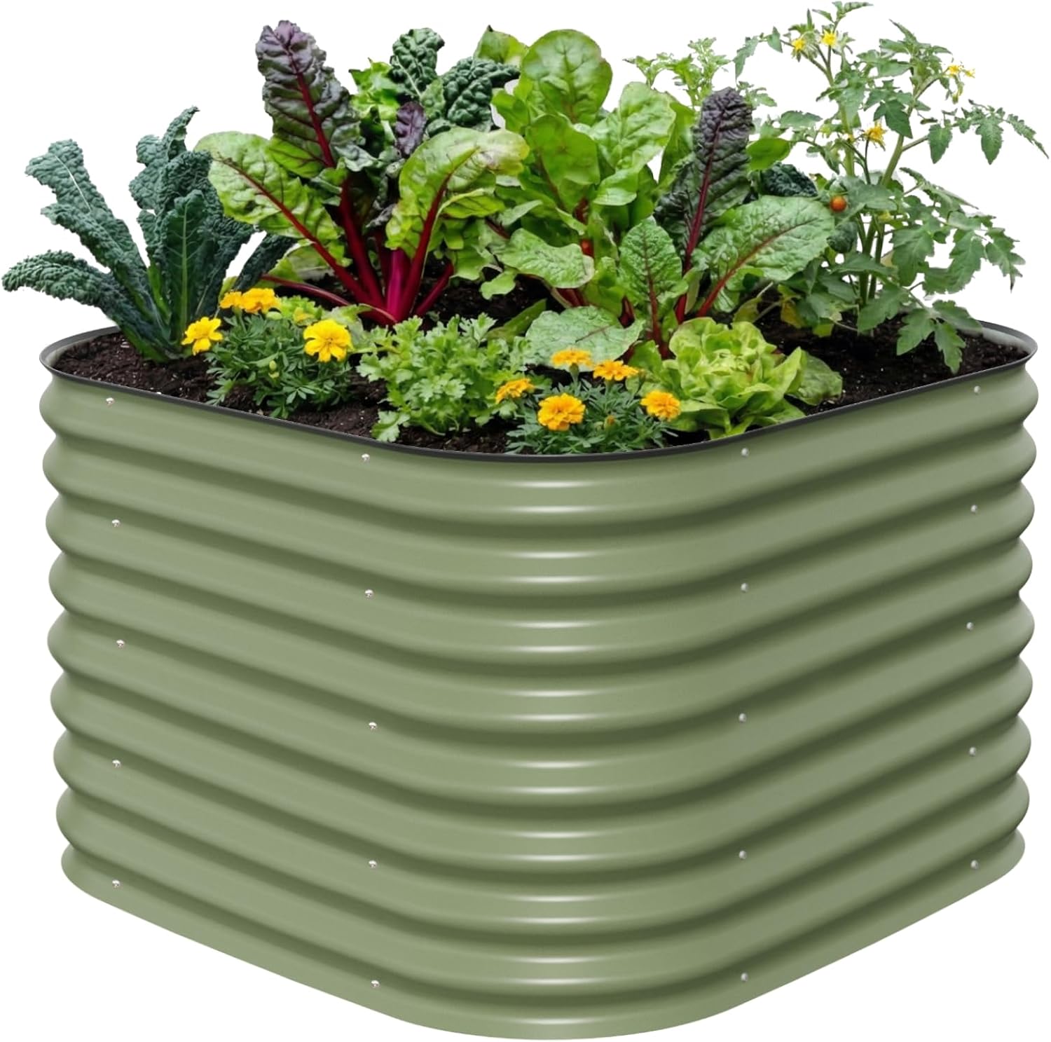 Jardinera Elevada Extra Alta d - Raised Bed Planter Box reseña y precio