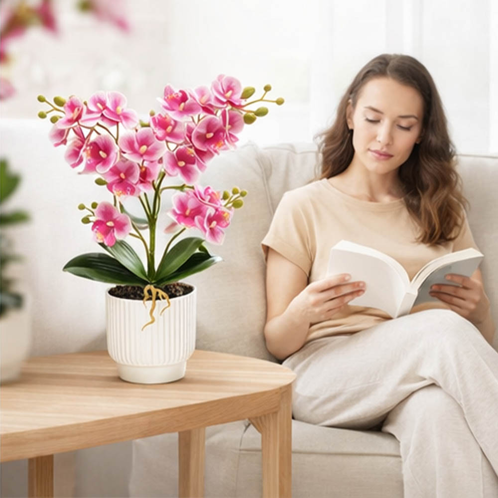 Orquídeas Artificiales, Planta - Orchid Potting Mix reseña y precio