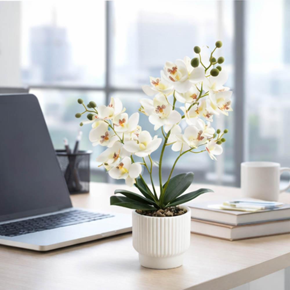 Orquídeas Artificiales, Planta - Orchid Potting Mix reseña y precio