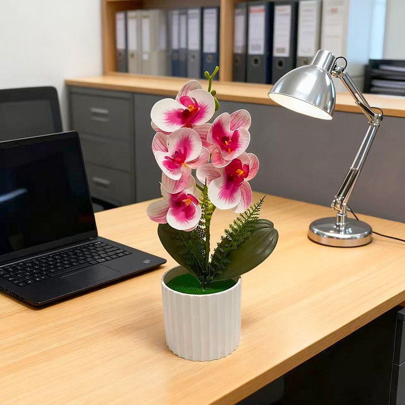 Maceta Vertical con 5 Orquídea - Orchid Potting Mix reseña y precio