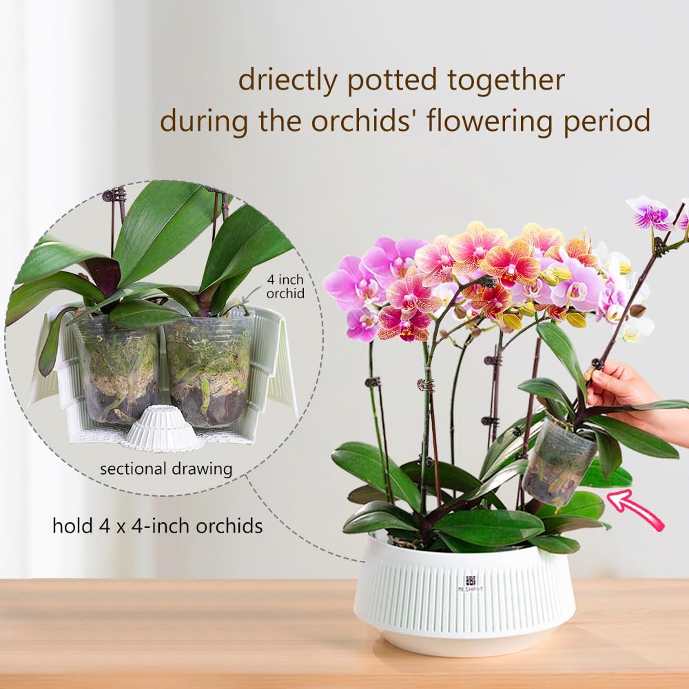 Maceta de malla para orquídeas - Orchid Potting Mix reseña y precio