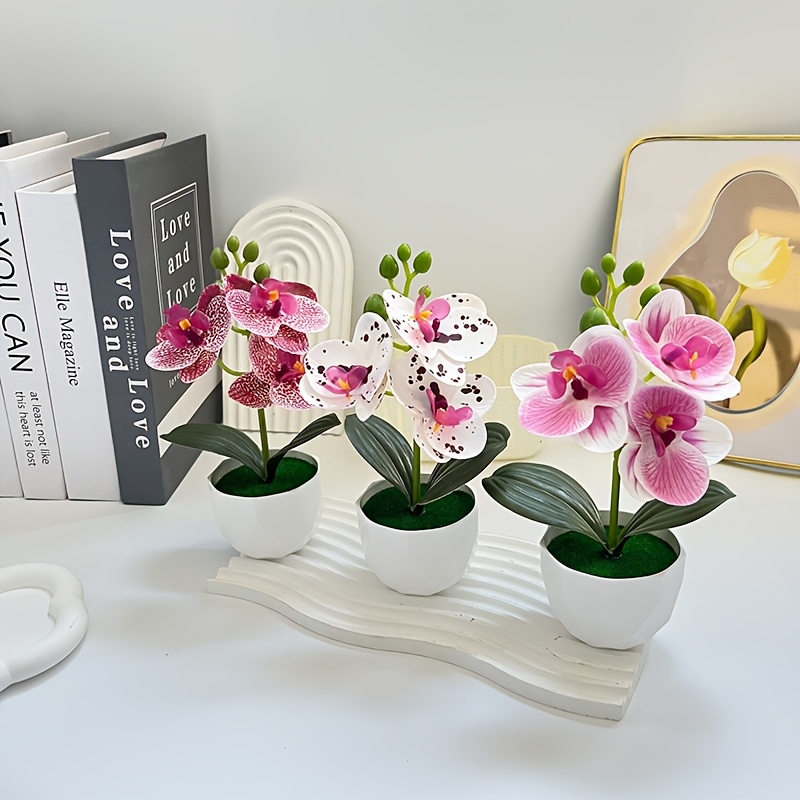 3 Piezas de Orquídeas Phalaeno - Orchid Potting Mix reseña y precio