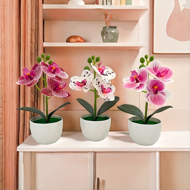 3 Piezas de Orquídeas Phalaeno - Orchid Potting Mix reseña y precio