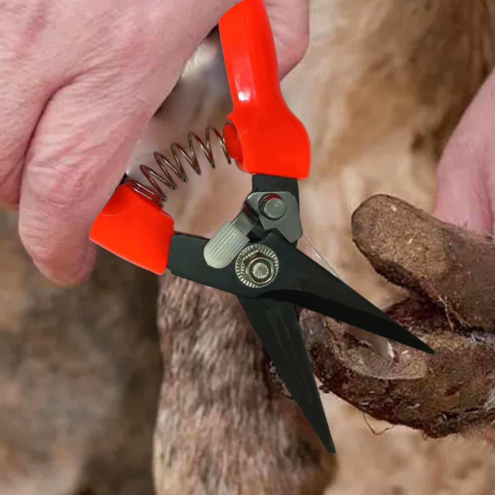 Tijeras para recortar pezuñas  - Garden Hand Trowel reseña y precio