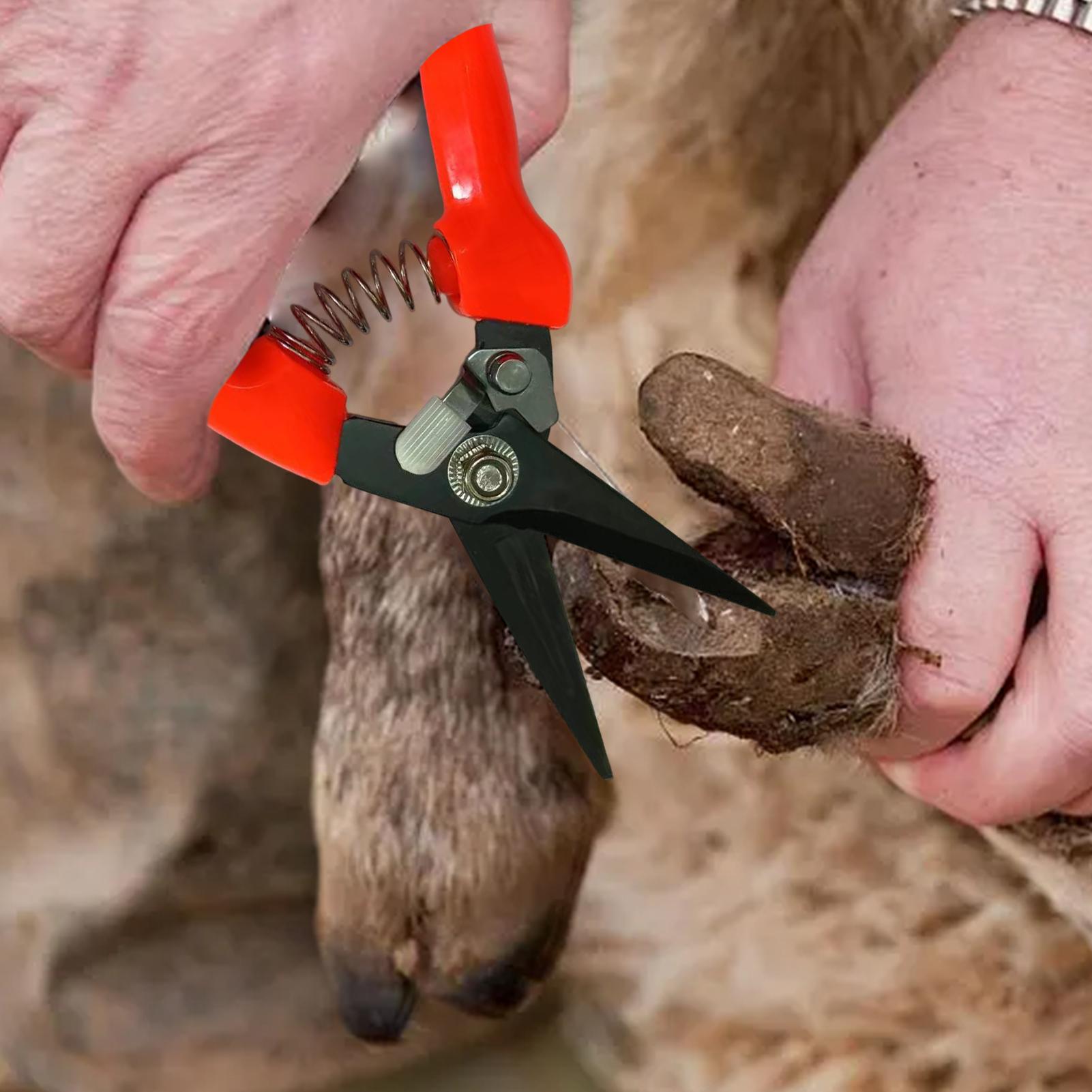 Tijeras para recortar pezuñas  - Garden Hand Trowel reseña y precio