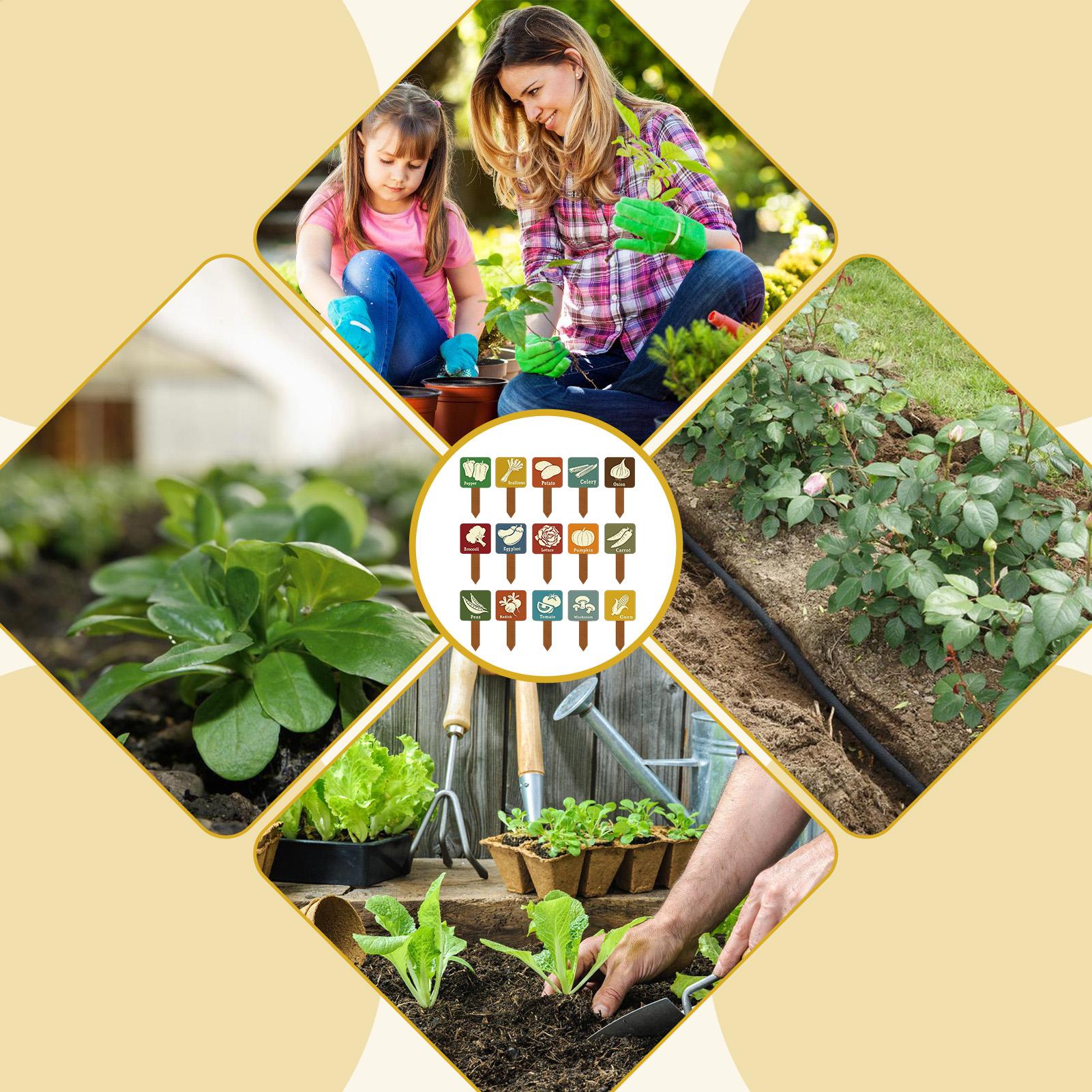 Marcadores de plantas de jardí - Garden Row Marker reseña y precio