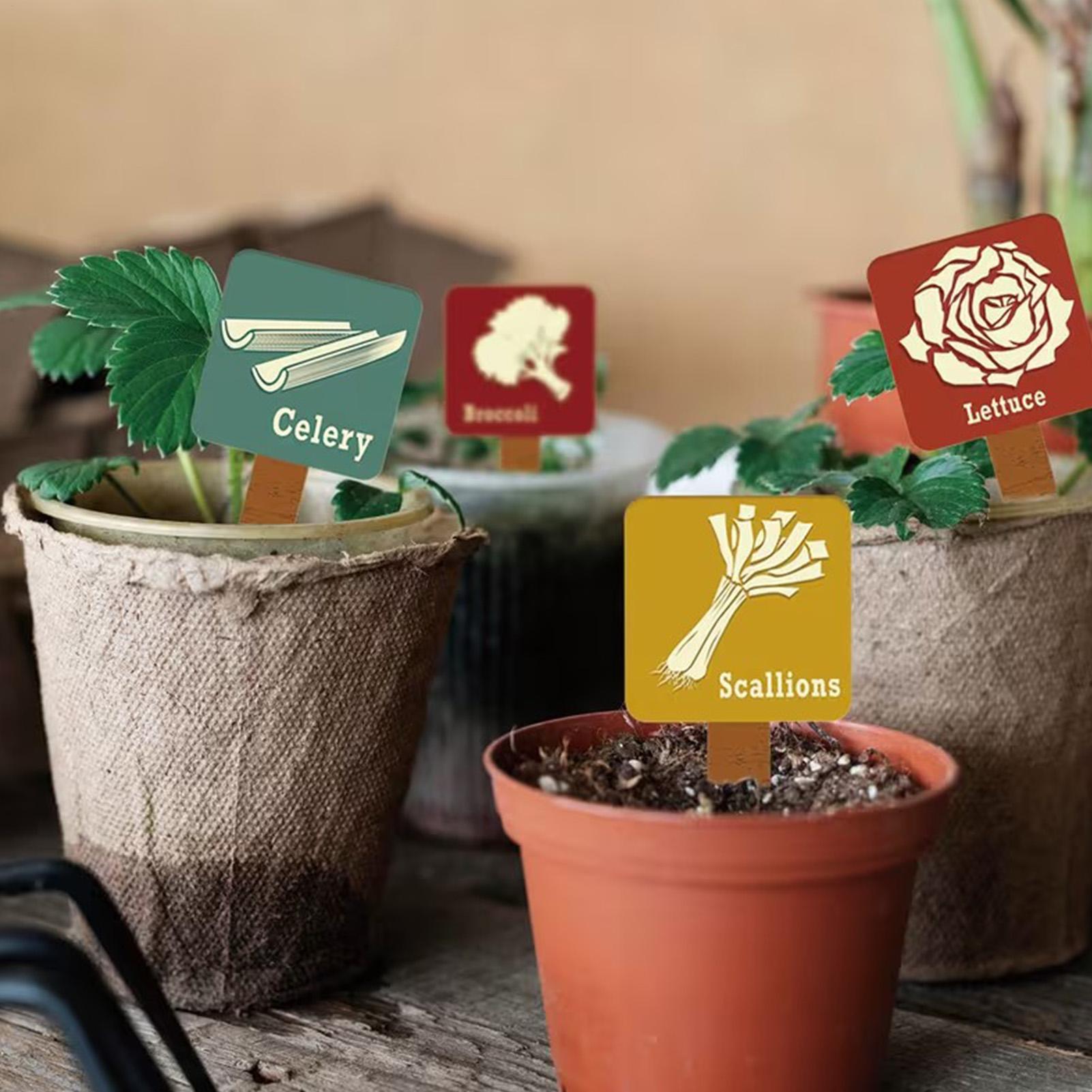 Marcadores de plantas de jardí - Garden Row Marker reseña y precio