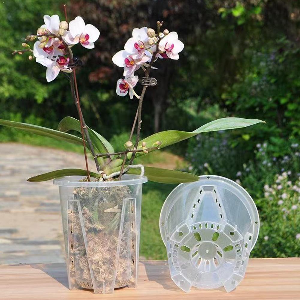Maceta Transparente de Plástic - Orchid Potting Mix reseña y precio