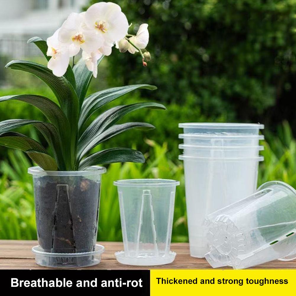 Maceta Transparente de Plástic - Orchid Potting Mix reseña y precio
