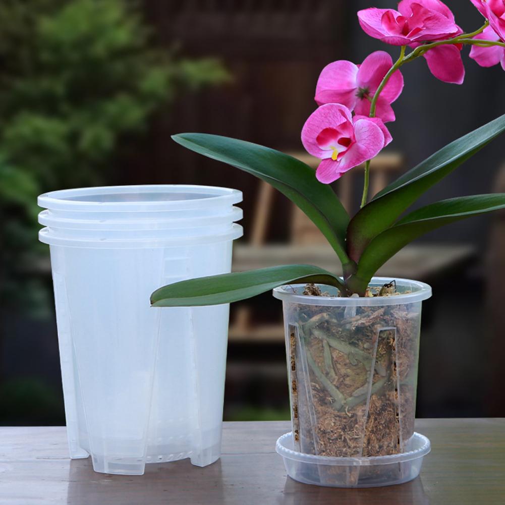 Maceta Transparente de Plástic - Orchid Potting Mix reseña y precio