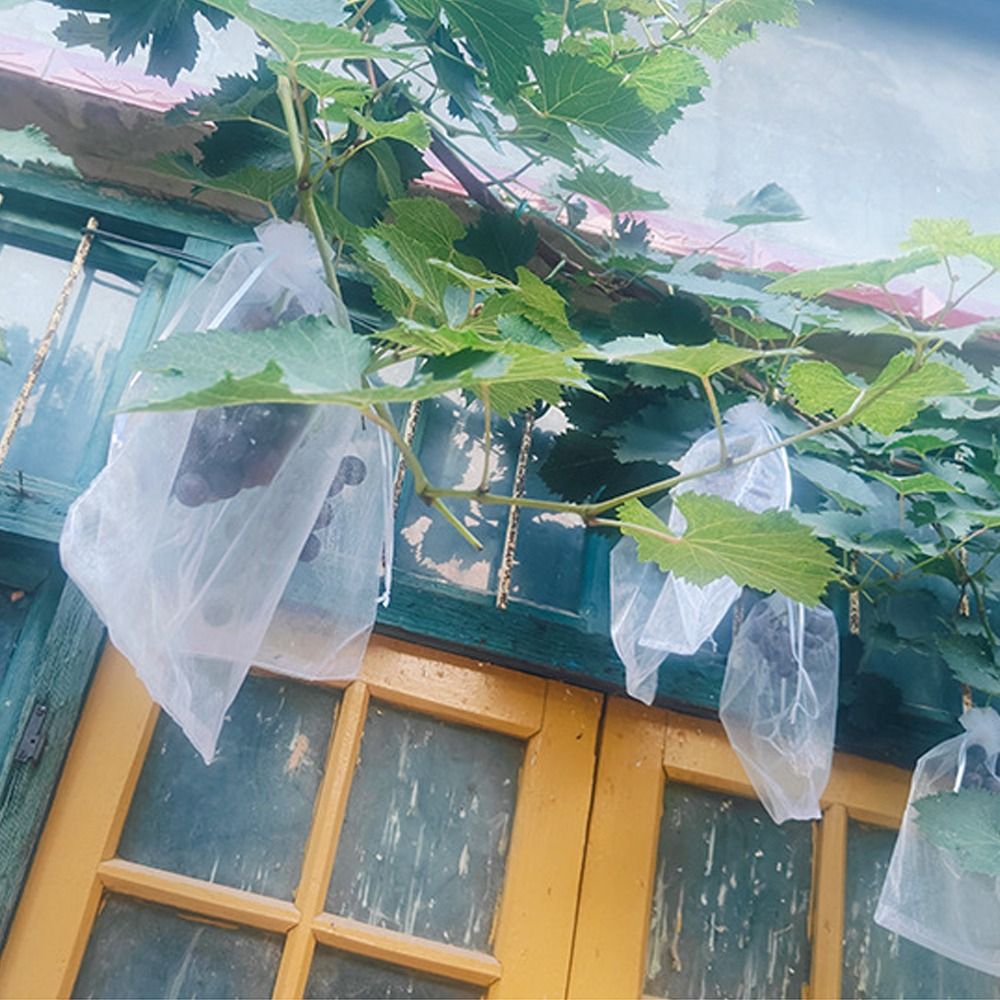 100 Uds. Bolsas de cultivo de  - Grow Bags reseña y precio
