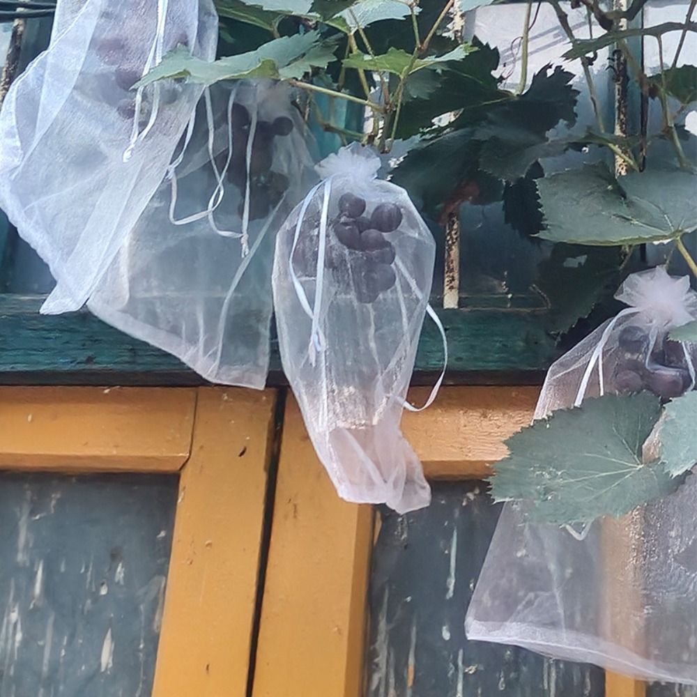 100 Uds. Bolsas de cultivo de  - Grow Bags reseña y precio