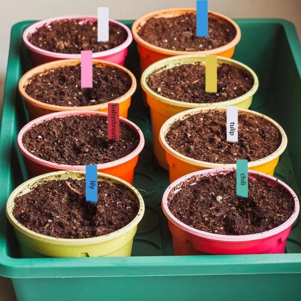 100 Etiquetas para Plantas de  - Gardening Tools Labeled reseña y precio