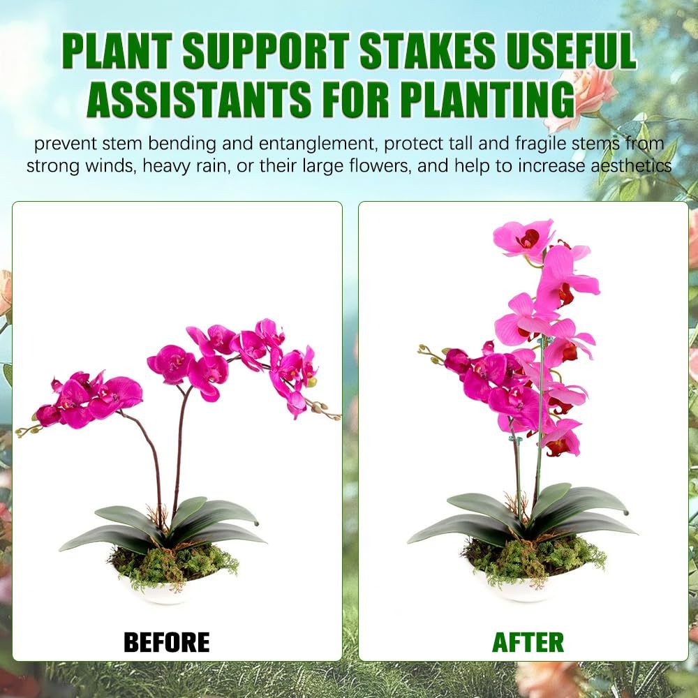 Soporte para plantas, 5/10 Uds - Orchid Potting Mix reseña y precio