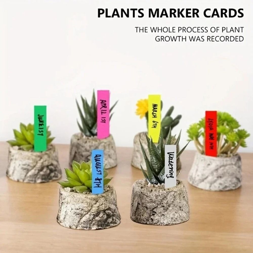 100 Etiquetas para Plantas de  - Gardening Tools Labeled reseña y precio