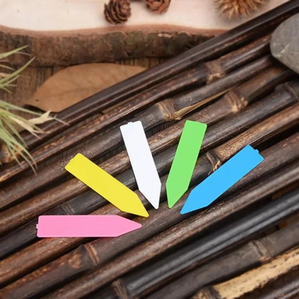 100 Etiquetas para Plantas de  - Gardening Tools Labeled reseña y precio