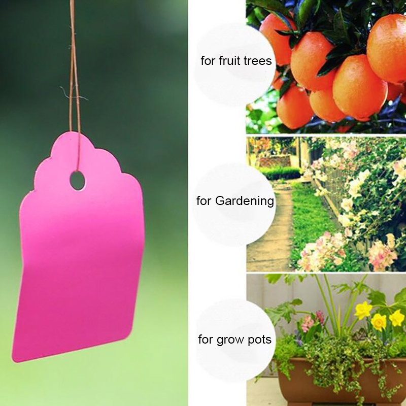 100 Uds. Etiquetas de plantas  - Gardening Tools Labeled reseña y precio