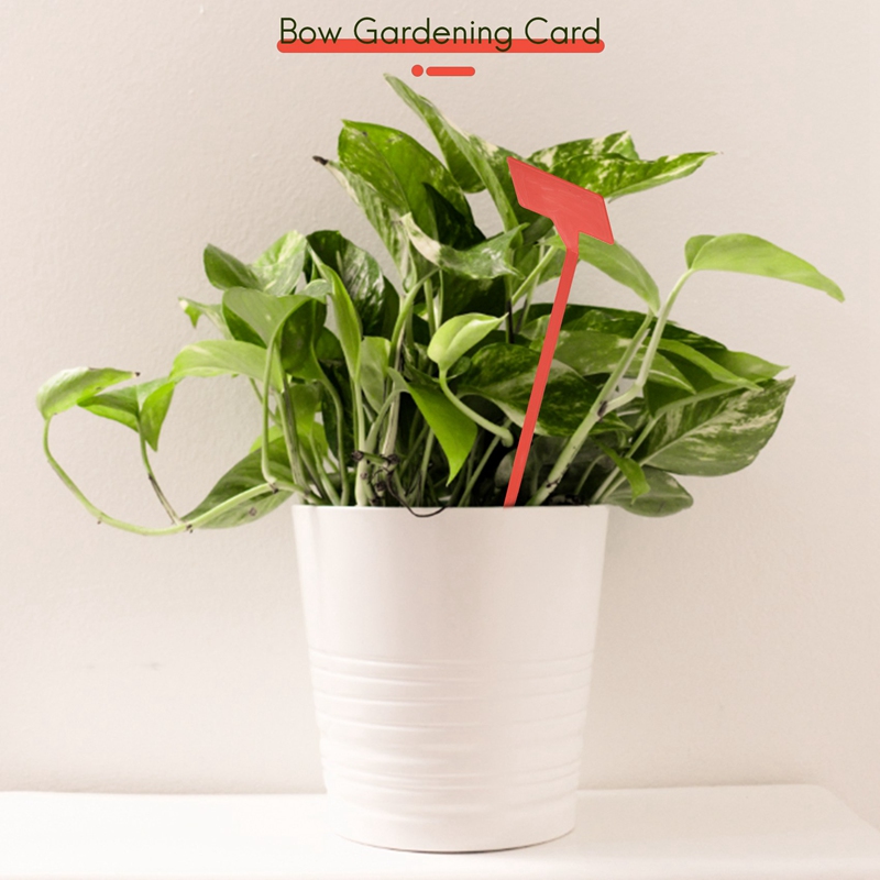 ABYP Herramientas para plantar - Gardening Tools Labeled reseña y precio