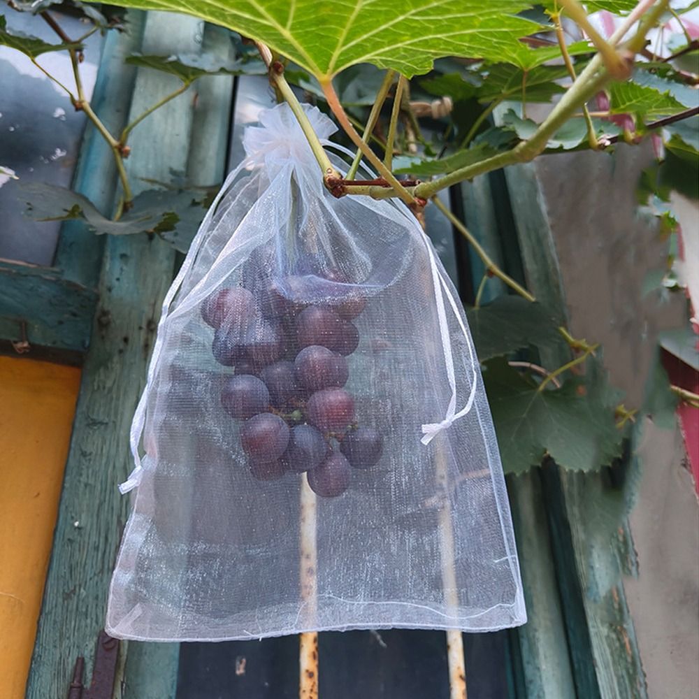 100 Bolsas de Malla Blancas Tr - Grow Bags reseña y precio