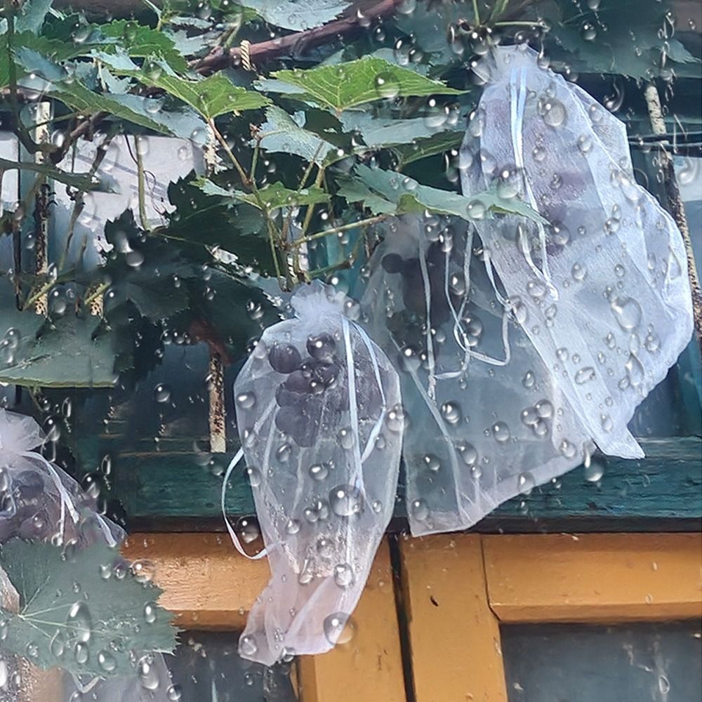 100 Bolsas de Malla Blancas Tr - Grow Bags reseña y precio