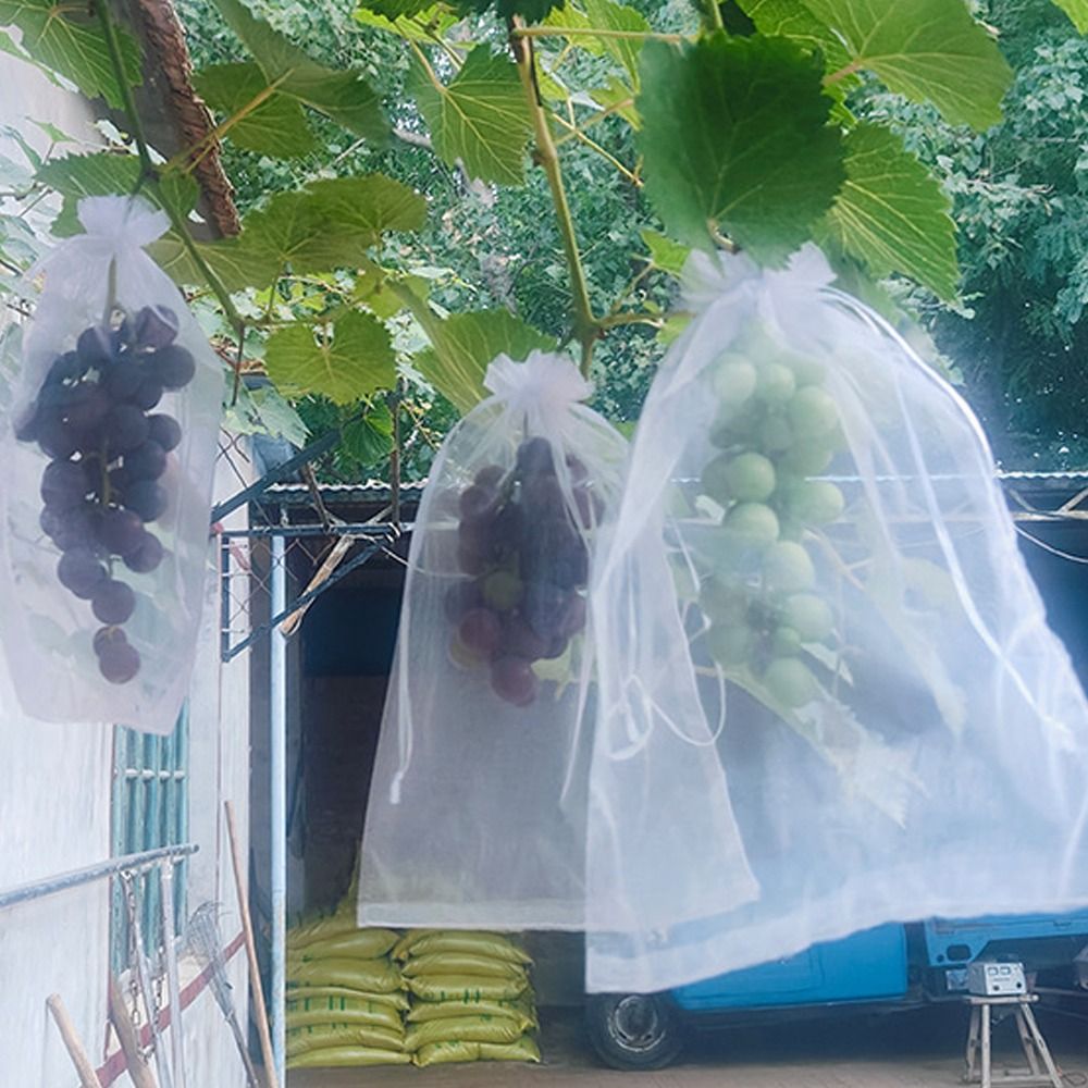 100 Bolsas de Malla Blancas Tr - Grow Bags reseña y precio