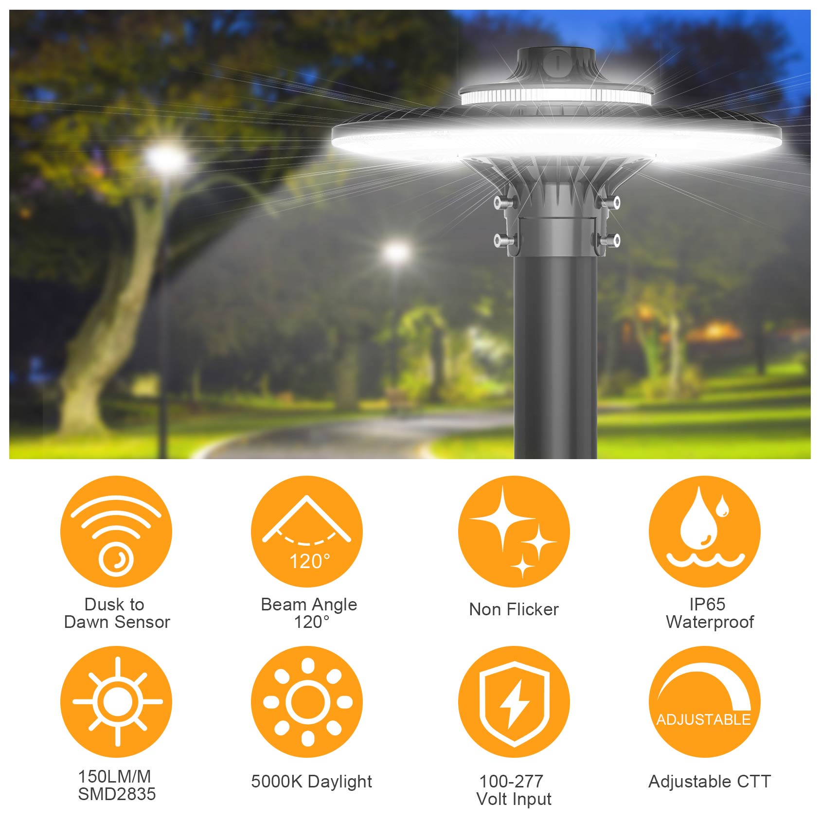 Accesorio LED POST TOP ETL CE  - Gardening Tools List reseña y precio