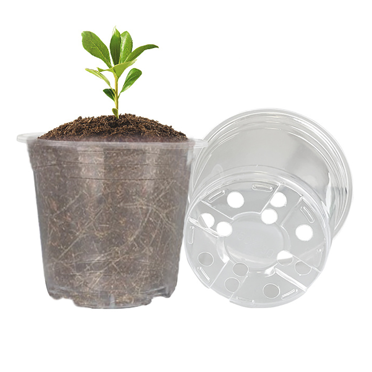 Macetas redondas transparentes - Orchid Potting Mix reseña y precio