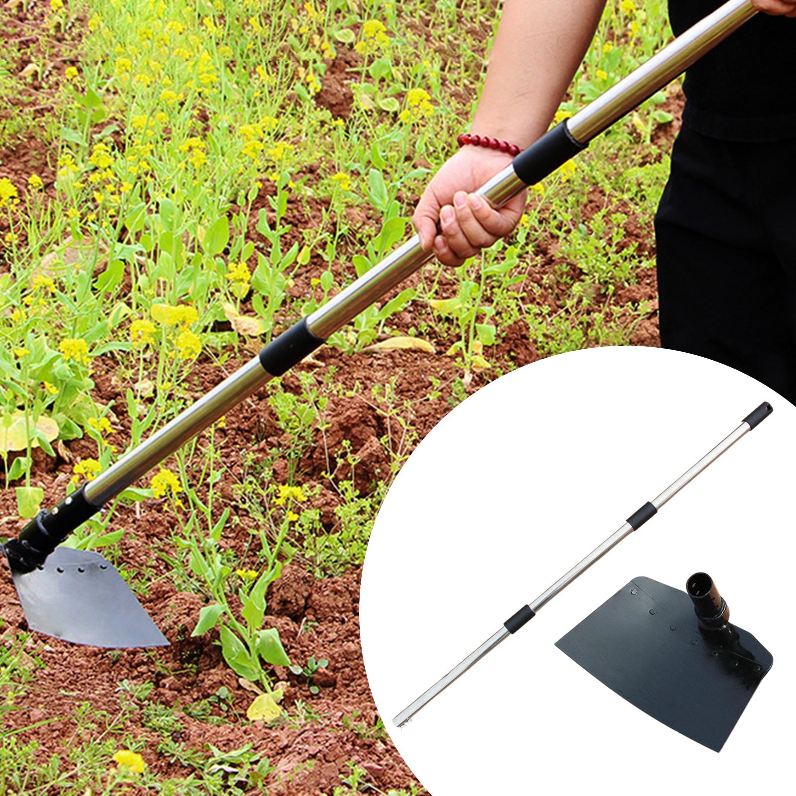 Hoz de deshierbe, azada de man - Gardening Tools Long reseña y precio