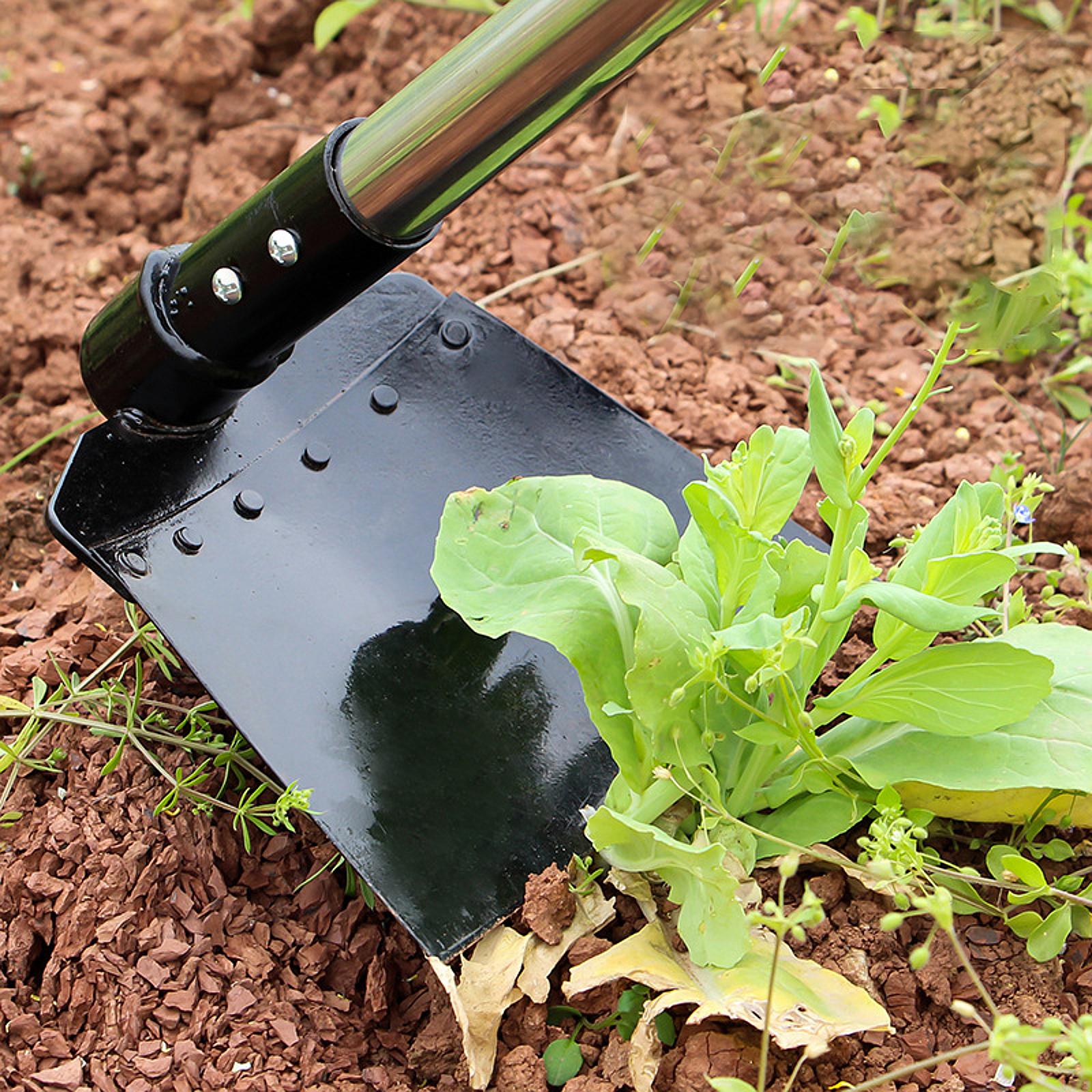 Hoz de deshierbe, azada de man - Gardening Tools Long reseña y precio