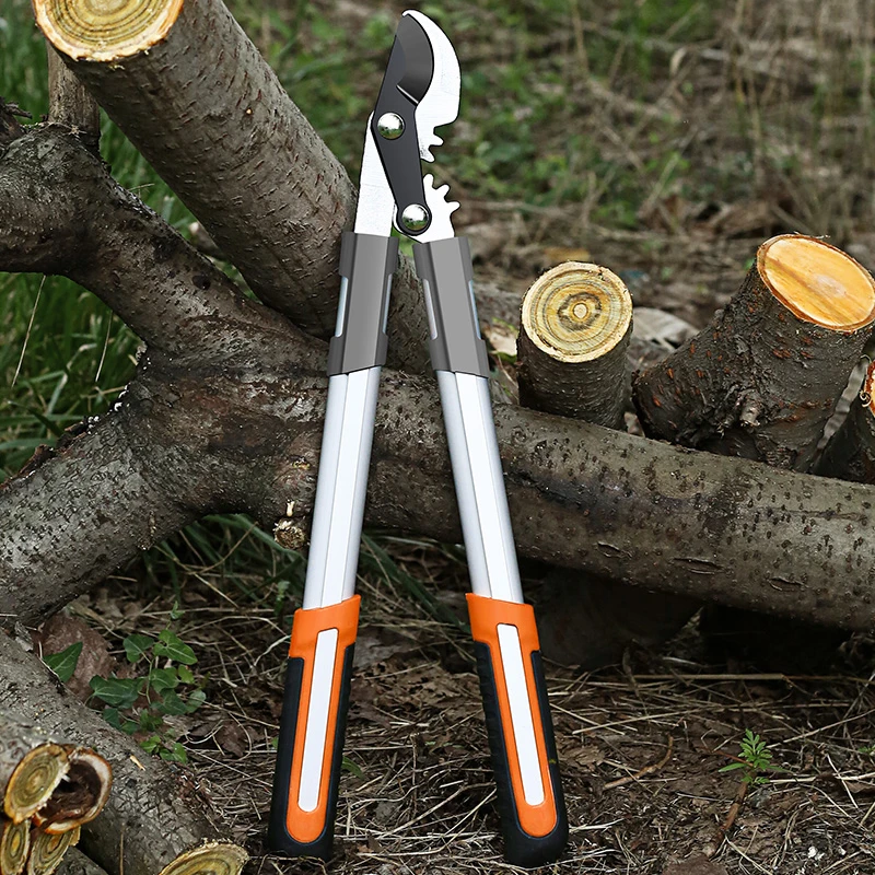 Tijera de longitud larga para  - Gardening Tools German reseña y precio