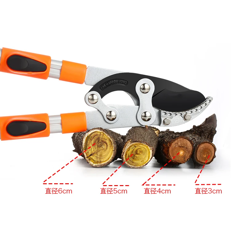 Tijera de longitud larga para  - Gardening Tools German reseña y precio