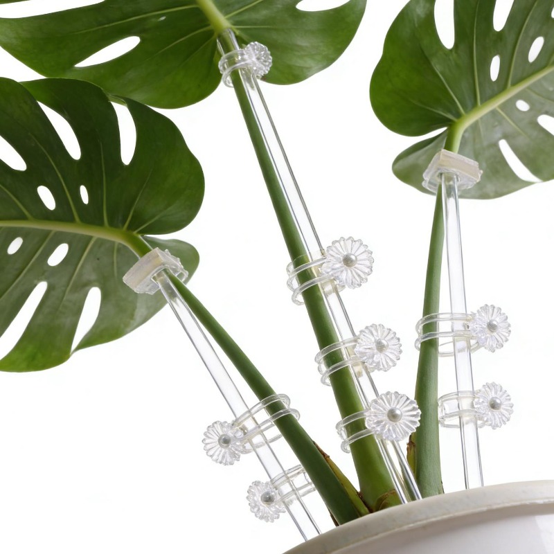 Estaca de Soporte Transparente - Orchid Potting Mix reseña y precio