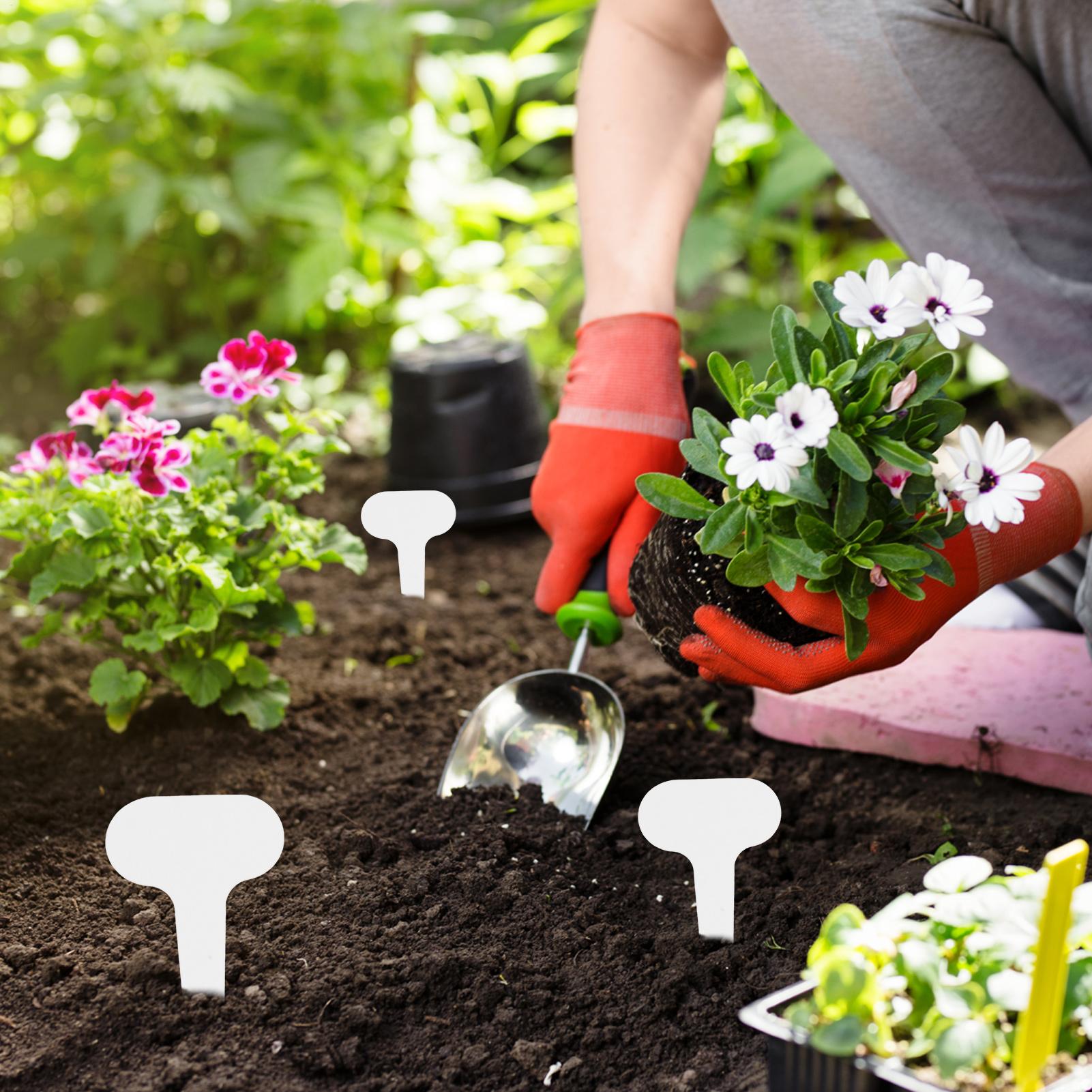 Marcadores de jardinería, etiq - Gardening Tools Labeled reseña y precio