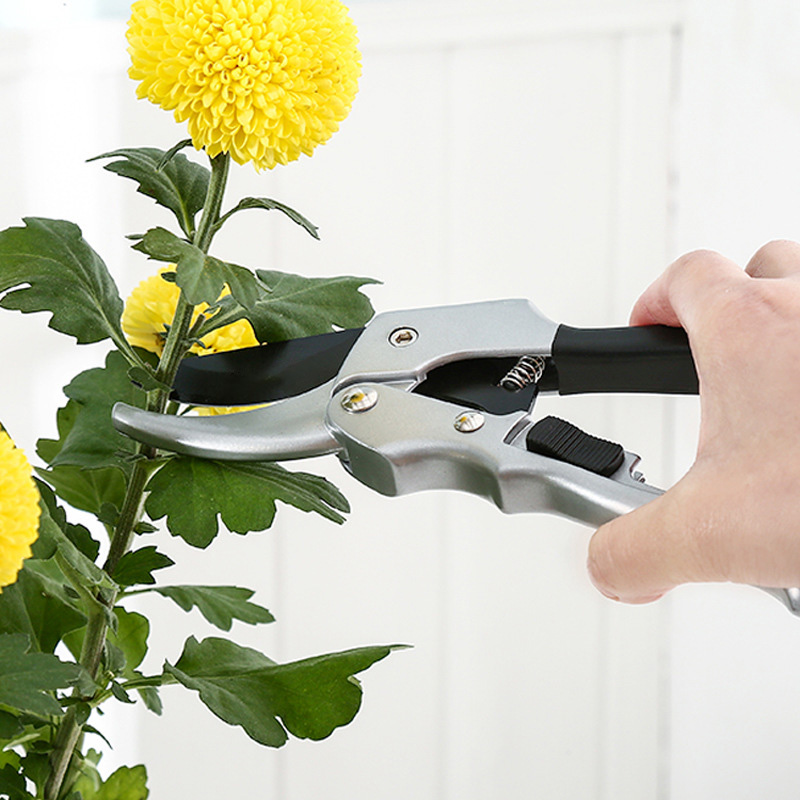 Nuevo 20cm trinquete planta re - Garden Hand Trowel reseña y precio