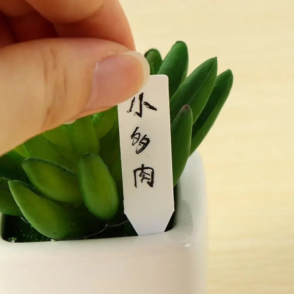 100 Uds marcador de clasificac - Gardening Tools Labeled reseña y precio