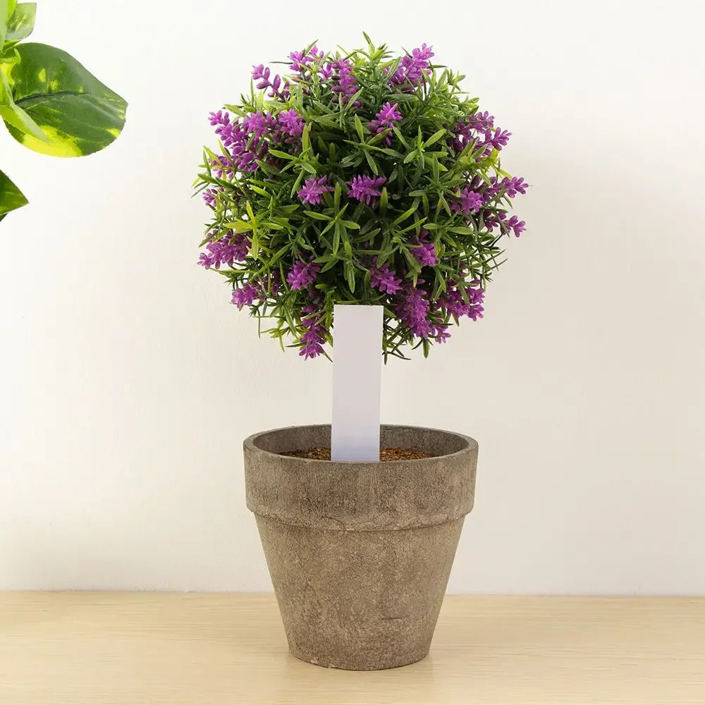 100 Uds marcador de clasificac - Gardening Tools Labeled reseña y precio