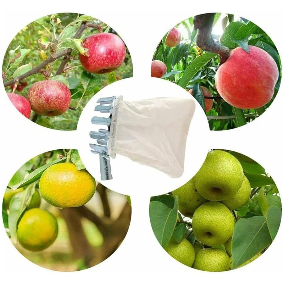 Herramienta Profesional para R - Gardening Tools Organizer reseña y precio